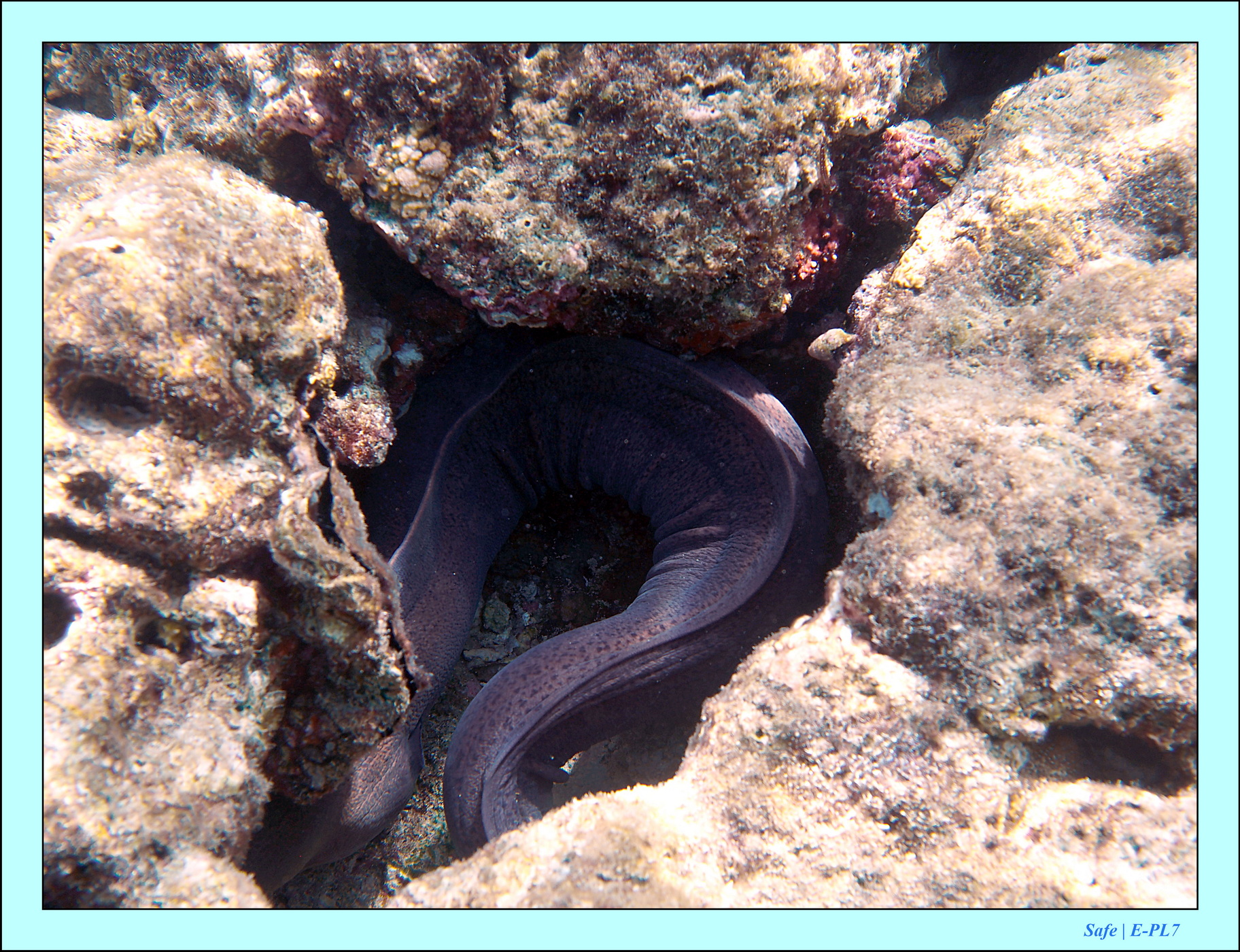 2023 - 07 - Sandies Bathala - 202